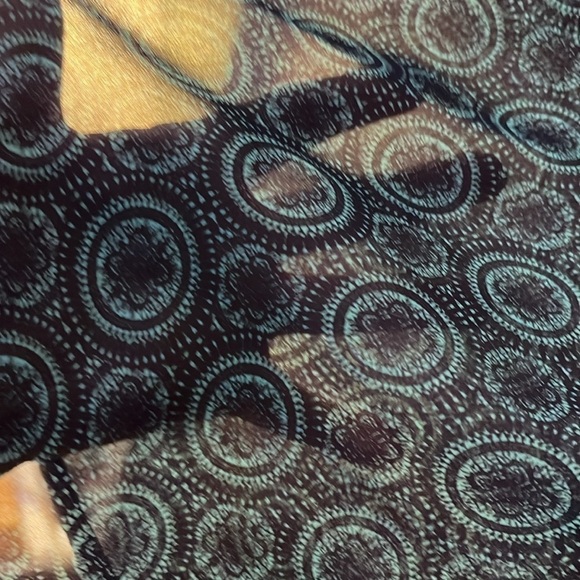 The Limited long sleeved, sheer blouse. Button down front. Size Small. - Picture 7 of 10